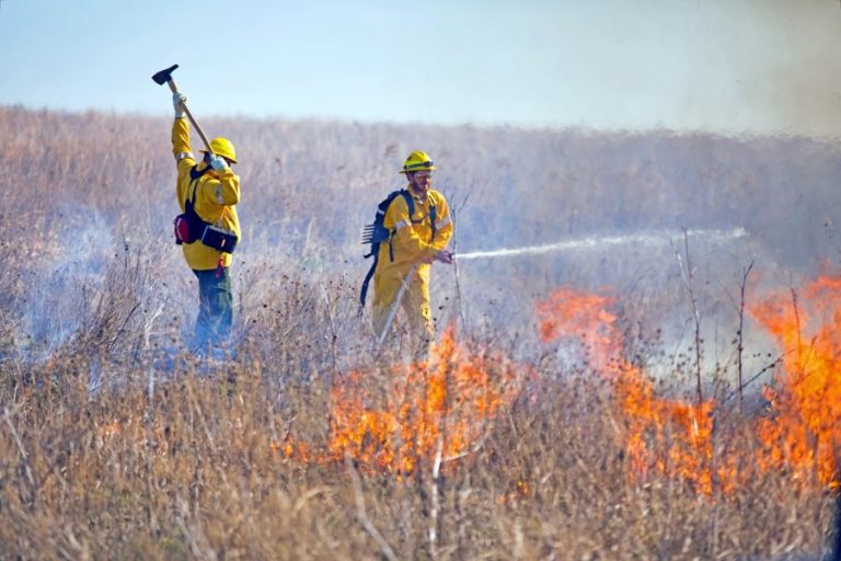 Prescribed burn scheduled for park in Flower Mound