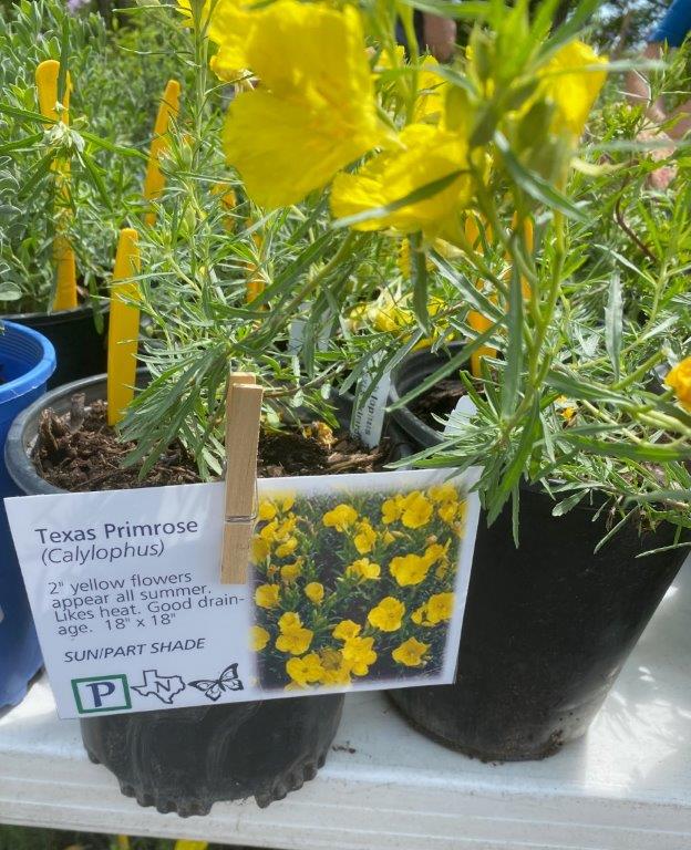 Gardening: Plant sale and garden tour offer blooms, bargains and inspiration