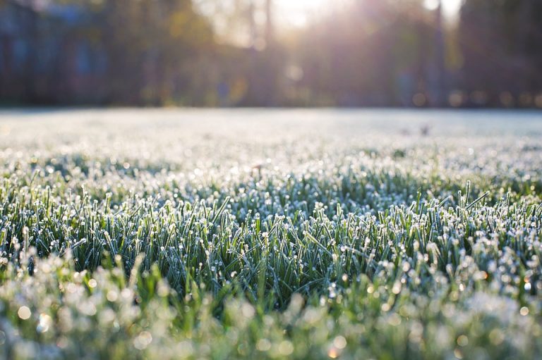 Extreme cold watch issued for Denton County