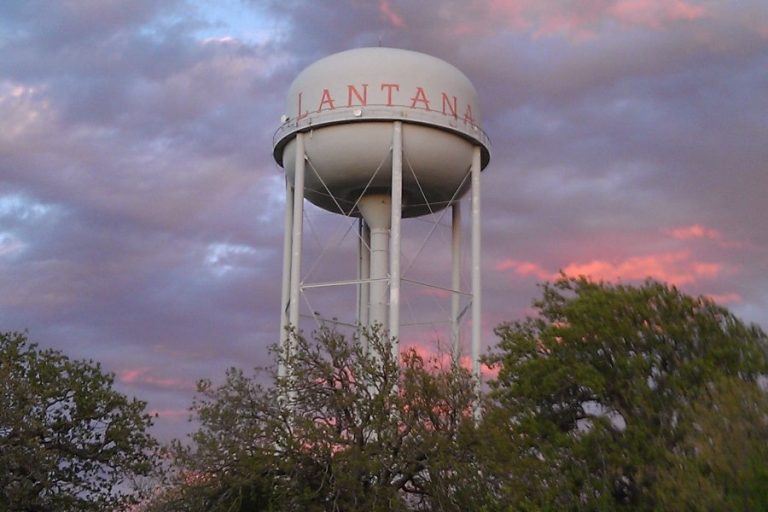Lantana Update — February 2025